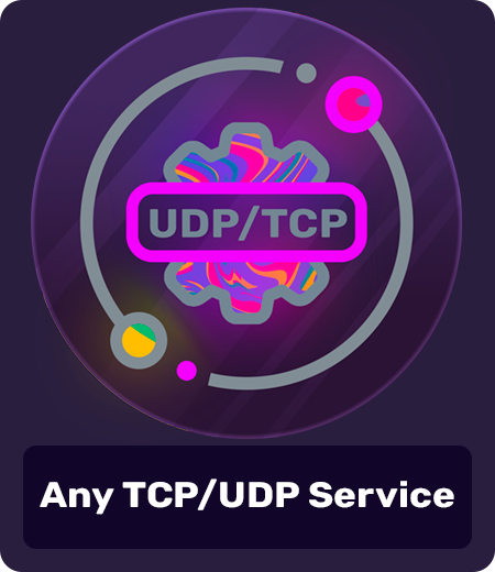 20_Any_TCP_UDP_Service