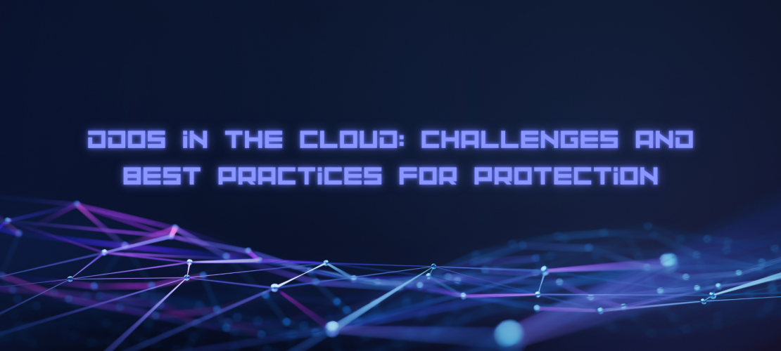 DDoS in the Cloud Challenges and Best Practices for Protection