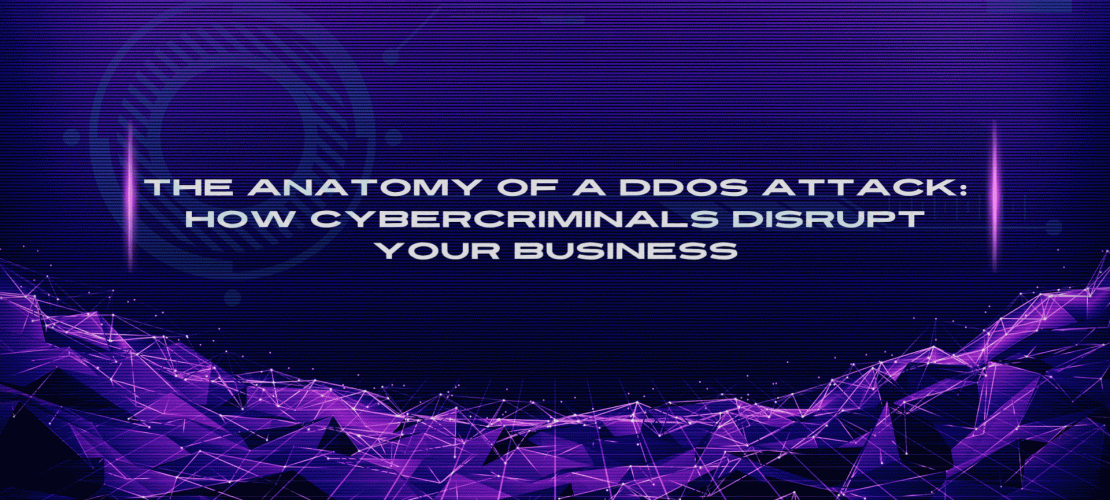 The Anatomy of a DDoS Attack How Cybercriminals Disrupt Your Business