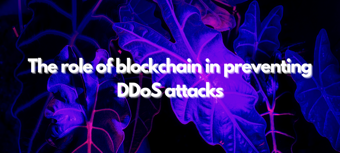 The role of blockchain in preventing DDoS attacks